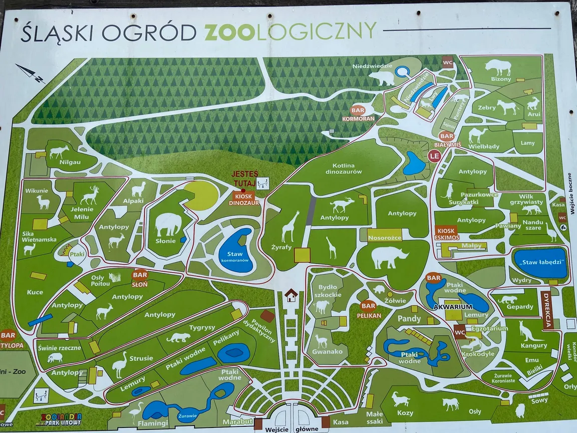 Śląski Ogród Zoologiczny