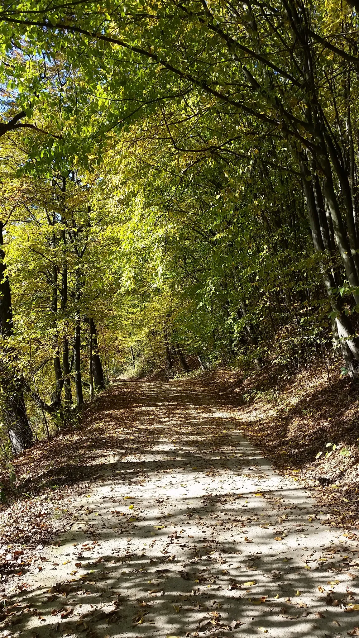 Mulderadweg