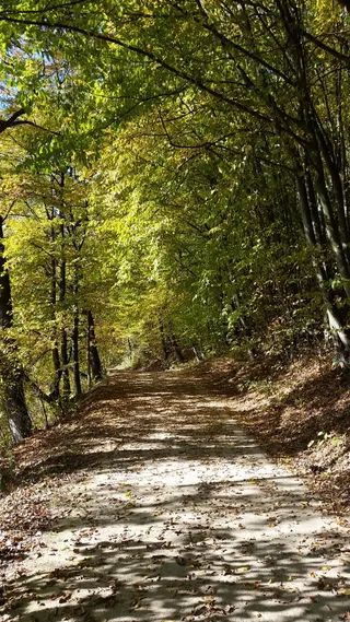 Mulderadweg
