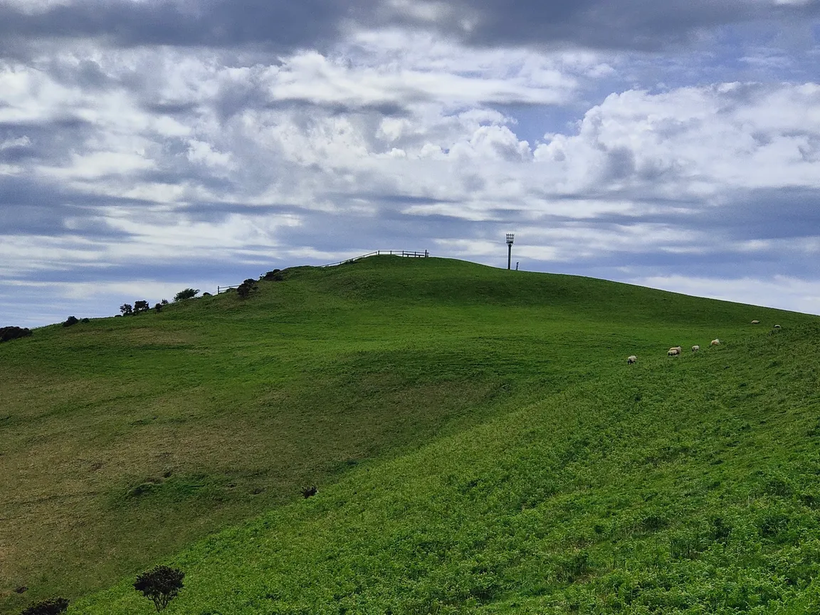 Thorncombe Beacon