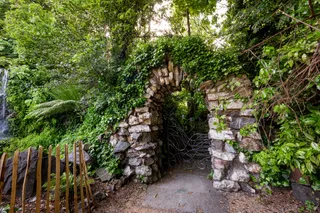 Iveagh Gardens