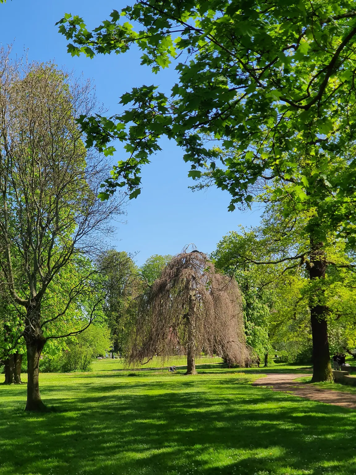Blüherpark
