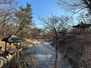 Changdeokgung Secret Garden
