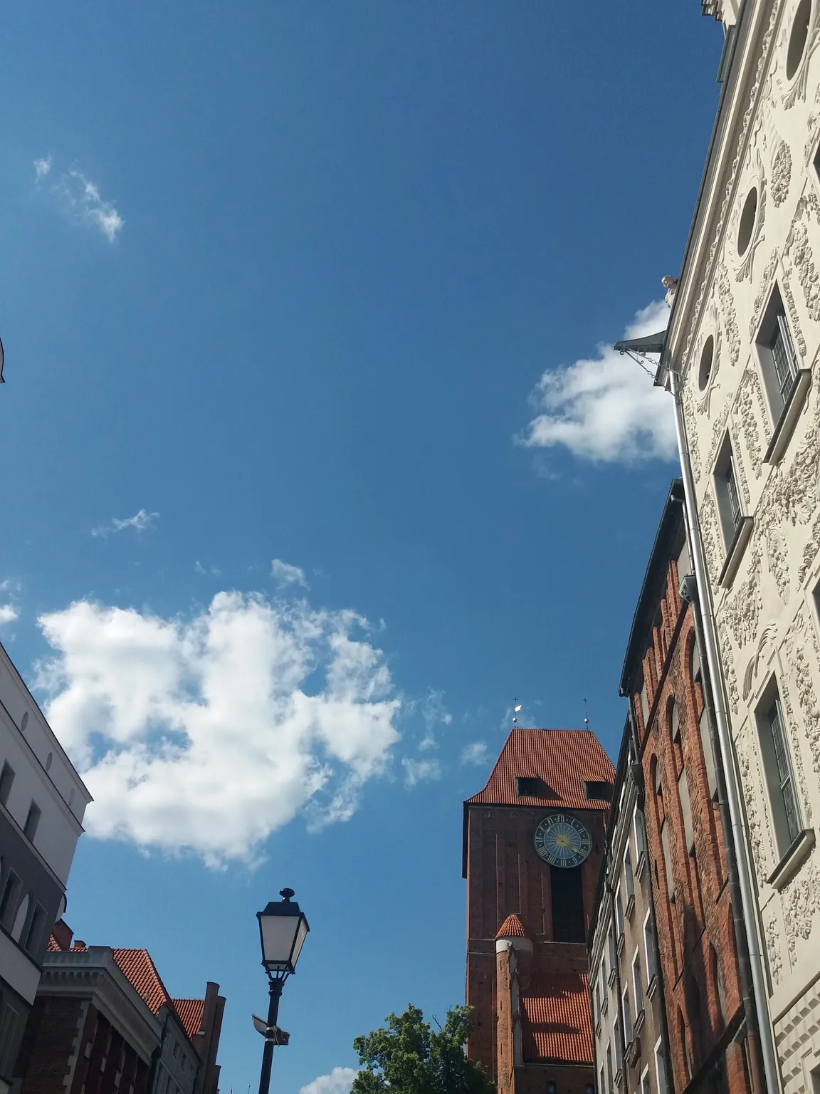 Pałac Dąmbskich w Toruniu