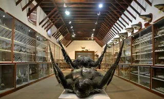 Museo Insular de La Palma