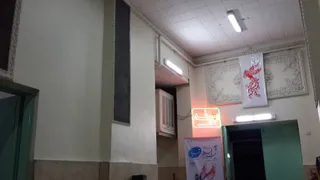 Palestine cinema