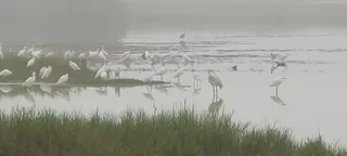 خور الدهاريز