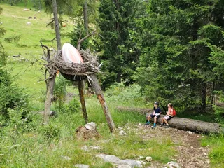 La Foresta dei Draghi