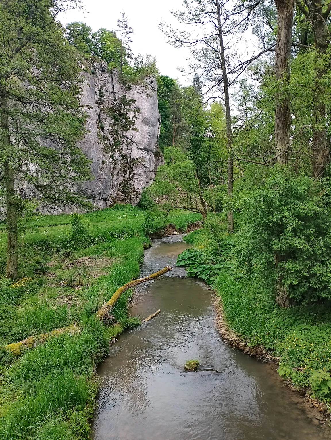 Brama Krakowska