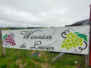 Winnica De Lewin