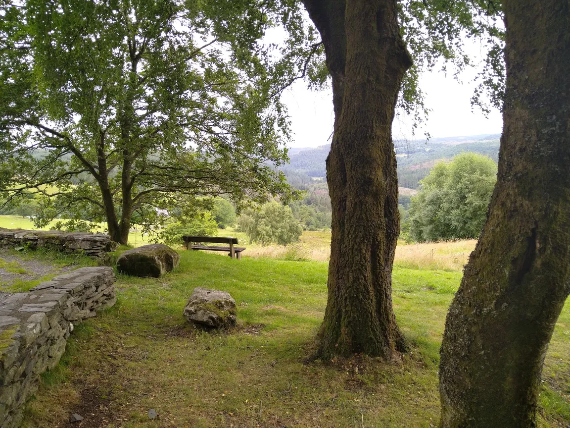 Ty'n Llwyn Walking Trail