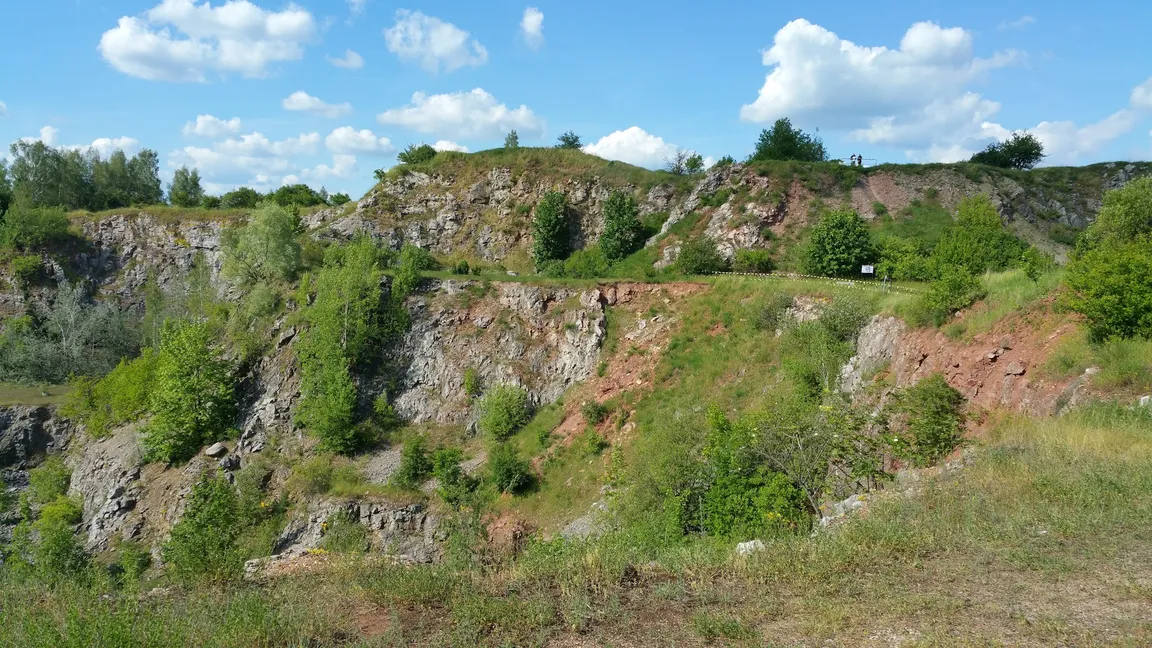 Rezerwat Przyrody Wietrznia im. Zbigniewa Rubinowskiego