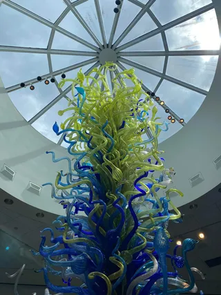 Orlando Museum of Art