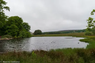 National Trust - Longshaw