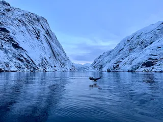 RIB-Lofoten