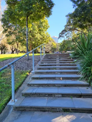 Cook + Phillip Park