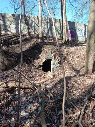 Fort Wilczy