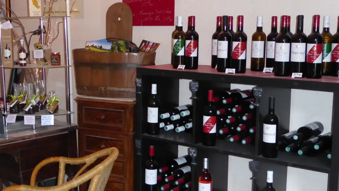 Château Haut-Reys - Vignobles Gabin