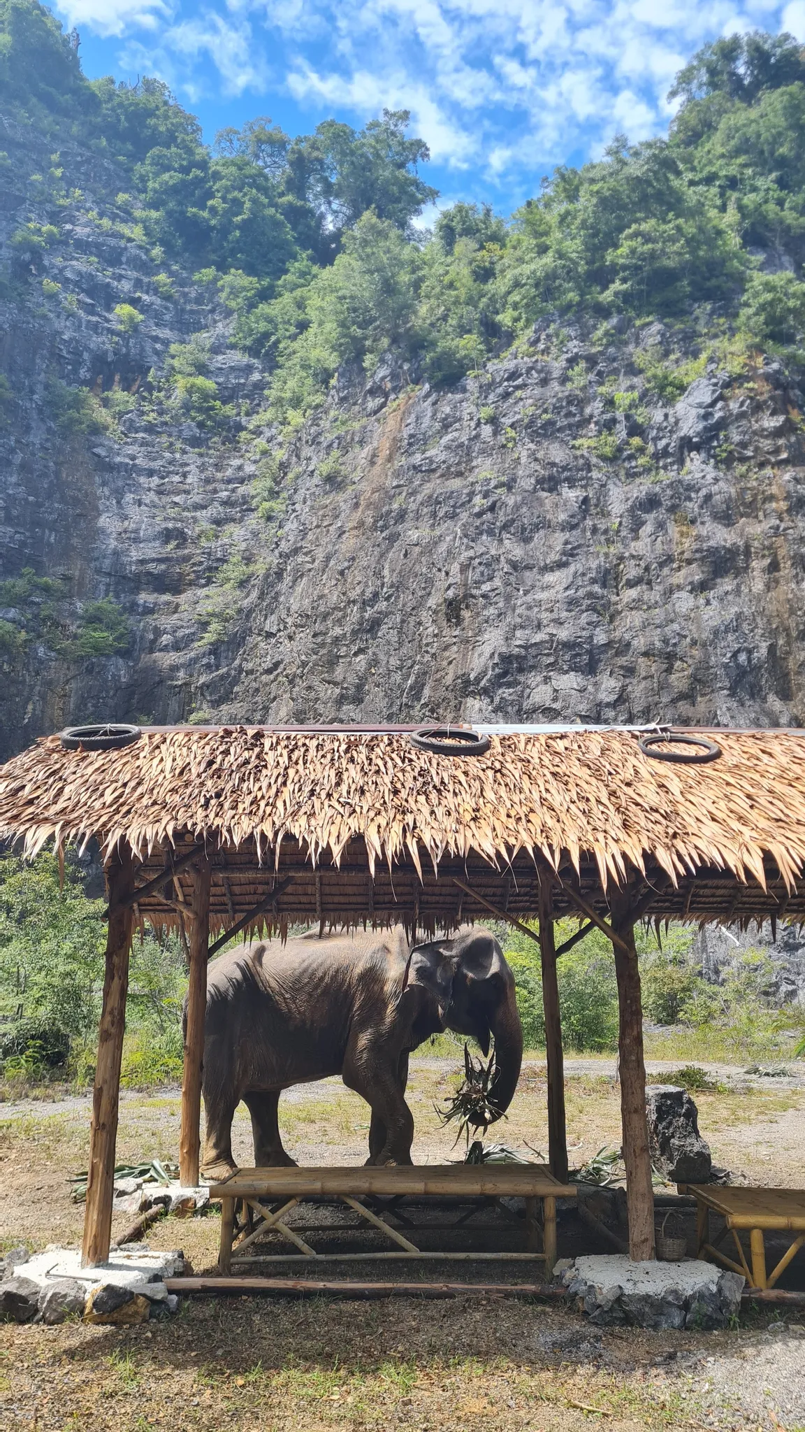Krabi Elephant Green Sanctuary