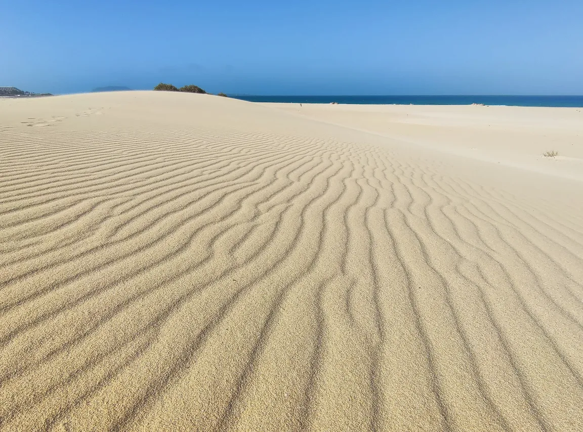Dunas de Corralejo