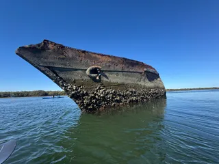 Dolphin Sanctuary Kayak Tours