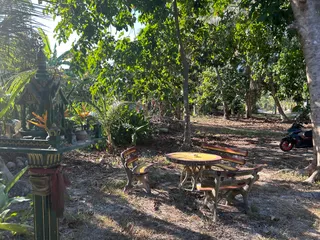 Peter Pan Cafe