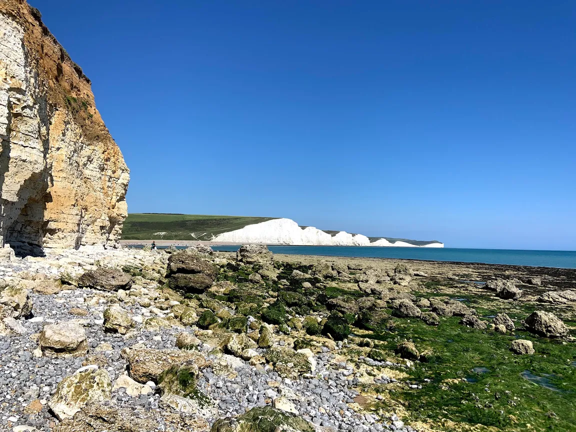 Seaford Head Nature Reserve, Sussex Wildlife Trust