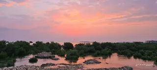 Al Qarm Beach