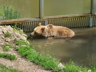 Ljubljana Zoo