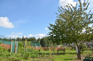 Hackney School of Food