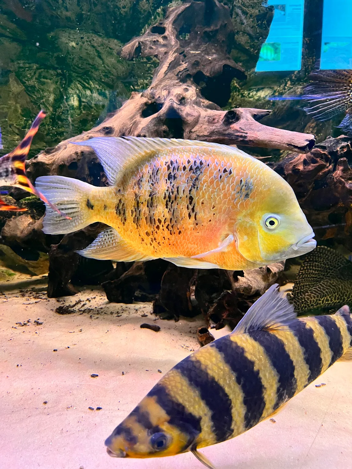 Oceanarium - Kołobrzeg