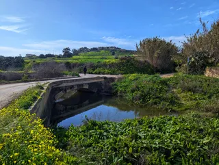 Chadwick Lakes