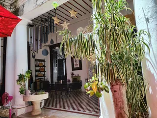 Café Montejo