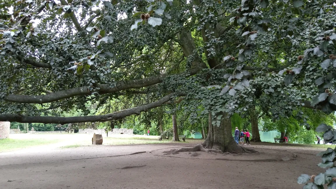 Brama Marchijska w Łagowie