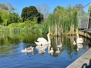 Brockwell Park