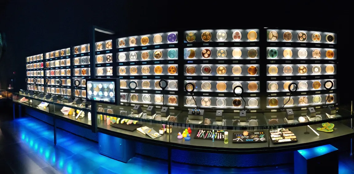 Micropia