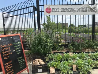 Keep Growing Detroit Farm