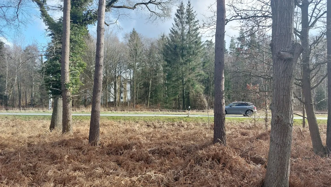 Rostock Heath