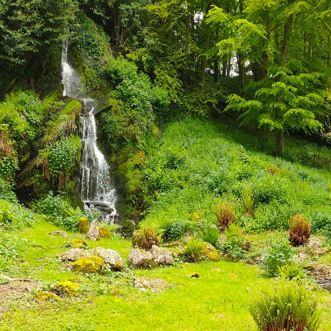 Hestercombe House & Gardens