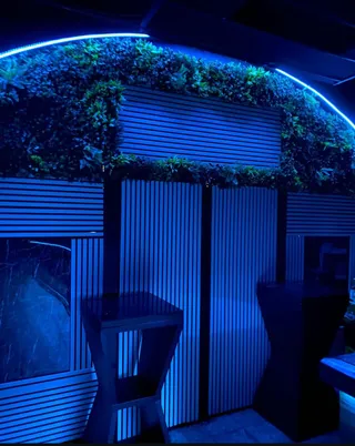 Night club Indigo