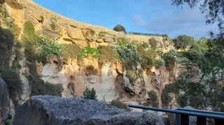 Maqluba