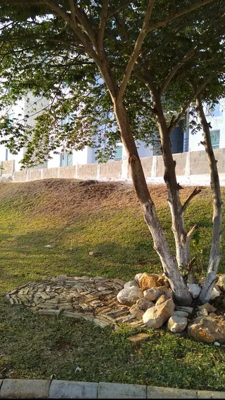 Kin Park