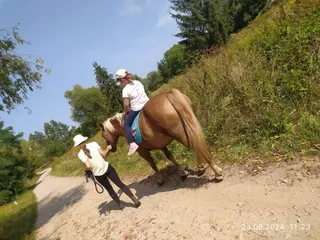 Stajnia Pociechom