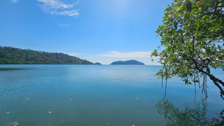 Salak Phet Mangrove Forest