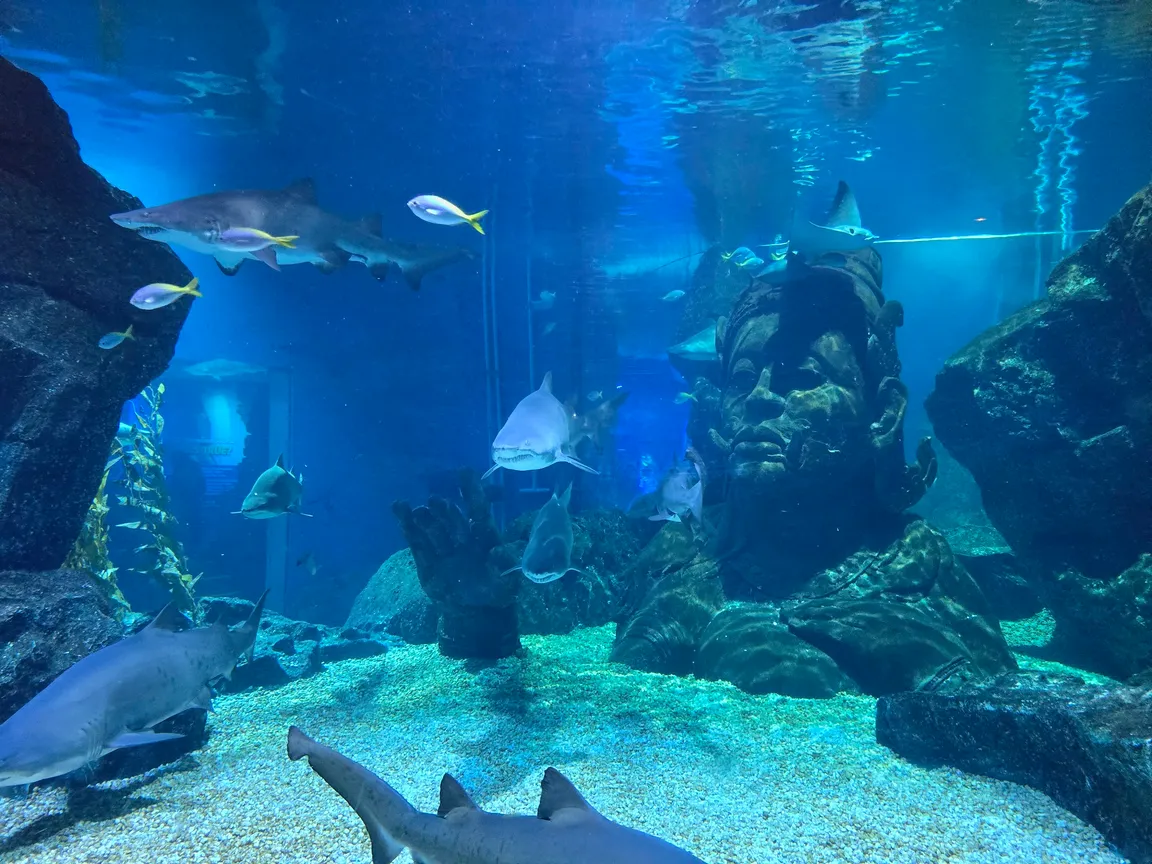 SEA LIFE Bangkok Ocean World