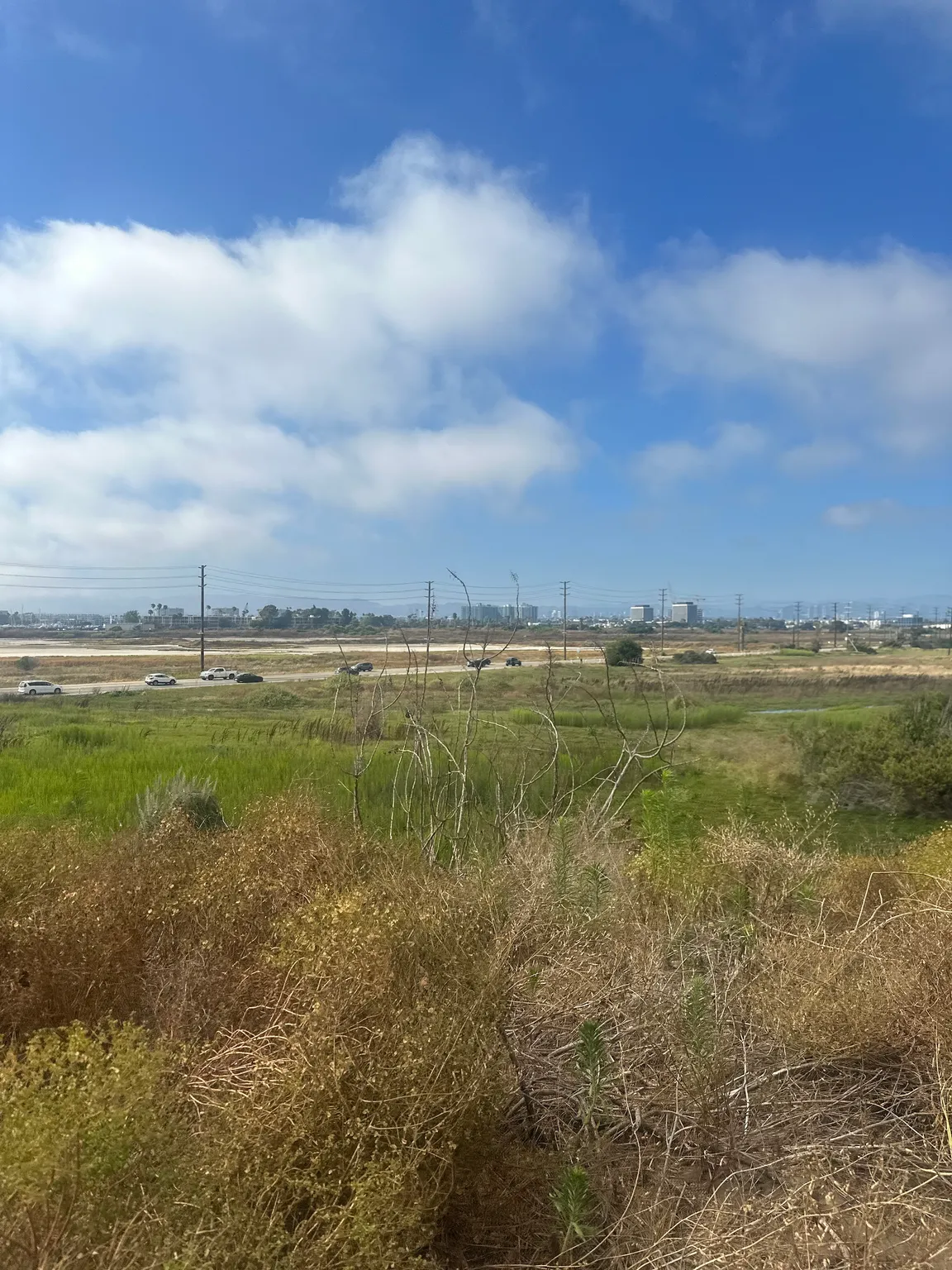 Douglas A. Laux Trail