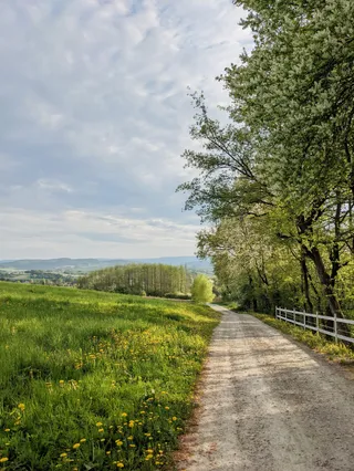 Basztogród