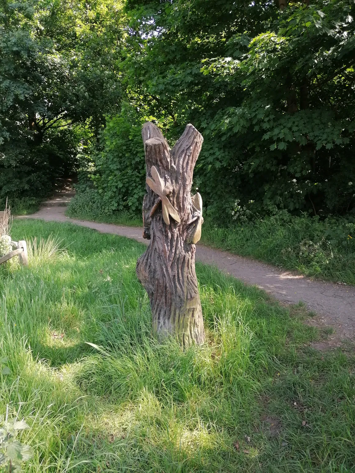 Chorlton Water Park