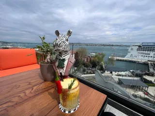 Zebra Lounge Port