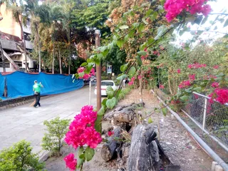 PhilSports Complex Jogging Path